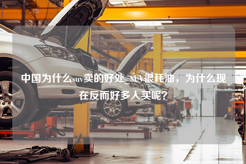 中国为什么suv卖的好处_SUV很耗油，为什么现在反而好多人买呢？